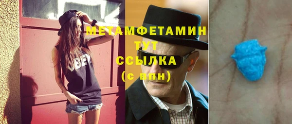 гидра Богданович