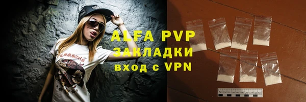 гидра Богданович