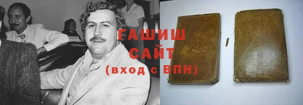 гидра Богданович