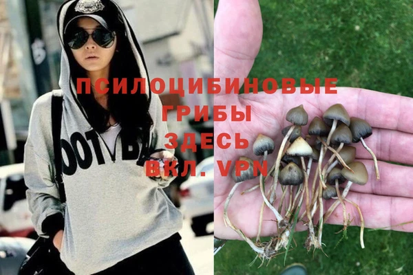 герыч Богородицк