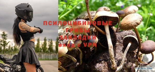 МДПВ Богородск