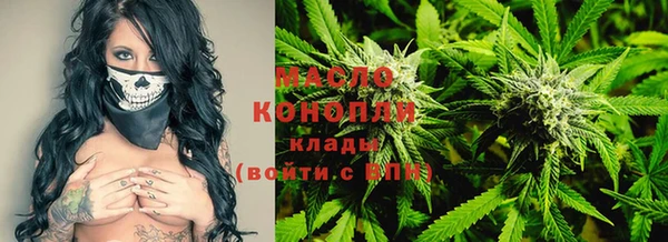 МДПВ Богородск