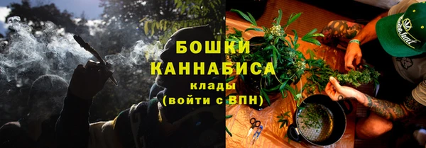 гидра Богданович