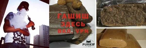 гидра Богданович