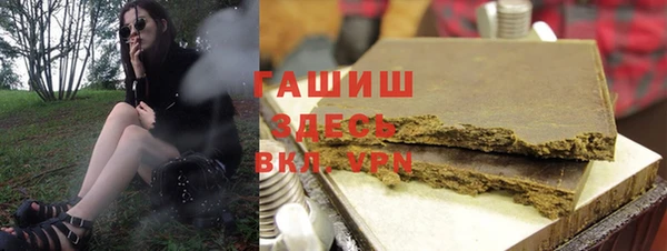 гидра Богданович
