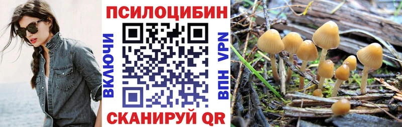 hydra рабочий сайт  Пионерский  Псилоцибиновые грибы мицелий 