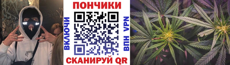 Шишки марихуана Bruce Banner где найти наркотики Пионерский